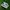 Nike Casual Sneakers Pria green gray photo 1