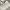 GENTLEWOMAN Y2K Casual Shoulder bag Wanita cream photo 2