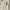 GENTLEWOMAN Y2K Casual Shoulder bag Wanita cream photo 3