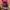 Sportswear Casual Accessory Kids green pink photo 4