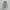 Onitsuka Tiger Cosplay Casual Casual shoe Pria gray photo 4