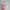 Liz Lisa Cosplay Coquette Wanita pink photo 3