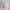 Liz Lisa Cosplay Coquette Wanita pink photo 5