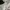 Vintage Y2K Crop top Wanita white photo 3