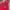 Dickies Streetwear Sportswear Hoody Pria red photo 2