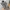 New Balance Streetwear Sportswear Sneakers Pria Gray