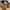 New Balance Streetwear Sportswear Sneakers Pria gray photo 5