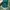 Vintage Sportswear Hat Pria green photo 3