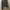 Casual Track jacket Wanita blue photo 1