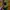 Adidas Streetwear Sportswear Jumper Pria yellow photo 3