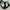 Dickies Casual Formal pants Pria green photo 6