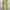 Diesel Y2K Grunge Jeans Pria multicolor gold photo 3