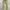 Diesel Y2K Grunge Jeans Pria multicolor gold photo 1