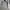 Champion Vintage Streetwear Hoody Pria gray photo 4