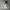 Streetwear Hoody Pria gray photo 1