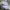 Dickies Casual Sweatshirt Pria white photo 3