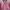 Casual Blouse Wanita pink photo 3