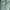 Nautica Vintage Streetwear Denim jacket Pria green photo 3