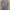 Muslim Baju muslim Wanita purple photo 5