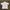Streetwear Casual T-shirt Pria cream photo 2