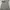 Streetwear Y2K Flare pants Wanita gray photo 7
