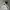 Streetwear Hoody Pria gray photo 1