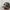Obey Streetwear Futurist Hat Pria multicolor photo 2