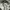Maison Kitsuné Luxury Casual Shirt Wanita multicolor photo 5