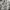 Maison Kitsuné Luxury Casual Shirt Wanita multicolor photo 4