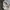 Maison Kitsuné Luxury Casual Shirt Wanita multicolor photo 2