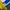 Vintage Sportswear Jersey Pria white yellow photo 5