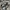 New Balance Streetwear Y2K Sneakers Pria Blue