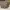 Coach Vintage Casual Tote bag Wanita tan cream photo 1
