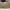 Coach Vintage Casual Tote bag Wanita tan cream photo 3