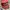 Vintage Hat Pria red photo 1