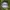 Vintage Streetwear Hat Pria white photo 1