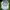 Vintage Streetwear Hat Pria white photo 4