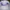 Vintage Streetwear Hat Pria white photo 3