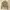 Y2K Minimalist Sweater Wanita cream photo 1