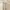 Morgan De Toi Minimalist Casual Casual dress Wanita white photo 1