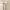 Morgan De Toi Minimalist Casual Casual Dress Wanita White