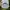 Vintage Streetwear Hat Pria white photo 3