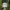 Vintage Streetwear Hat Pria white photo 1