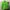 Sportswear Casual Hoody Pria green photo 1