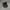 Streetwear Skater Hat Pria black photo 5