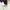Minimalist Loafer Wanita white photo 2