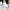 Minimalist Loafer Wanita white photo 6