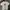 Adidas Sportswear Casual T-shirt Pria white photo 1