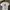 Adidas Sportswear Casual T-shirt Pria White