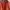 Casual Track jacket Pria orange photo 4